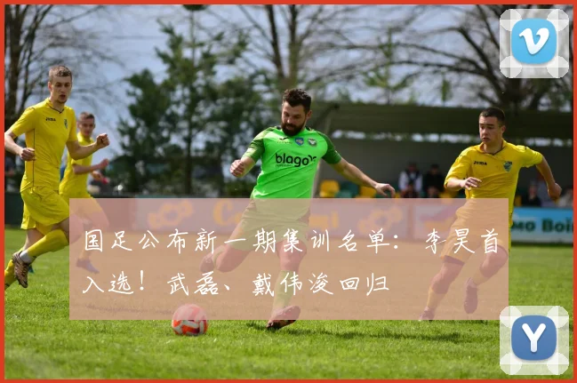 国足公布新一期集训名单：李昊首入选！武磊、戴伟浚回归